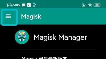 摩盖工作手机 Magisk 设置